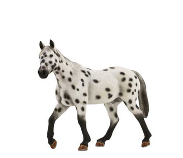 Caballo Appaloosa