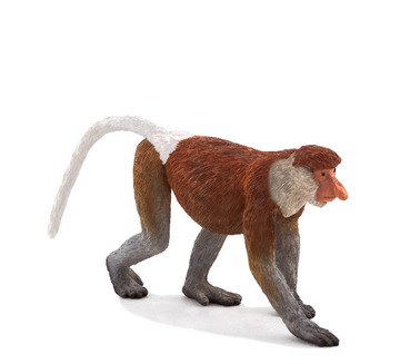 Mono Narigudo