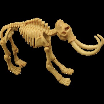 Excavaciones Fsiles Mamut
