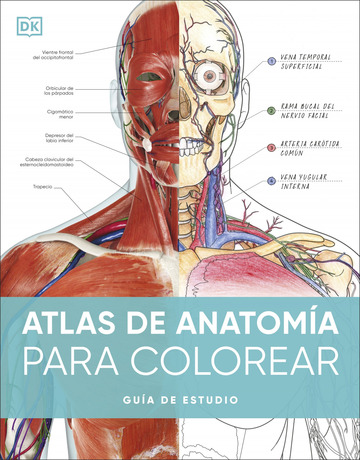 Atlas De Anatoma Para Colorear