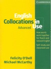 English Collocations In Use Advanced 
