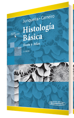Histologa Bsica Texto y Atlas