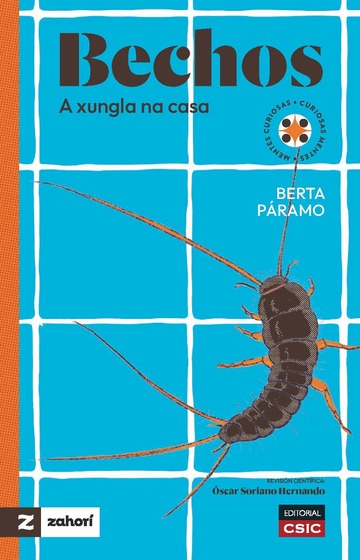 Bechos : a xungla na casa