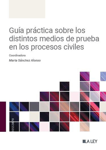 Gua prctica sobre los distintos medios de prueba en los procesos civiles