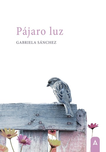 Pjaro luz
