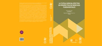 La tutela judicial efectiva en perspectiva de derechos fundamentales