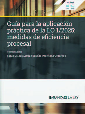 Gua para la aplicacin prctica de la LO 1/2025, medidas de eficiencia procesal