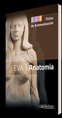 Eva | anatoma. fichas de autoevaluacin
