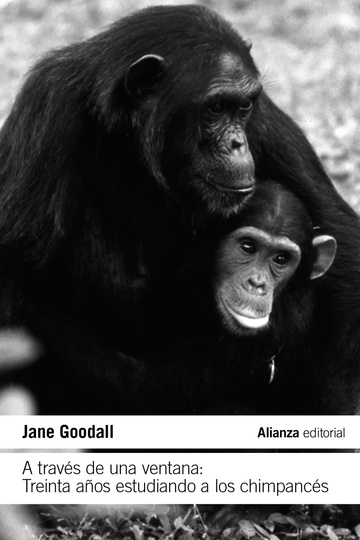 A travs de una ventana: Treinta aos estudiando a los chimpancs