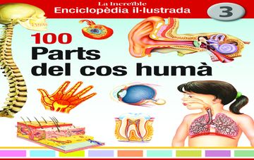 100 Parts del cos hum