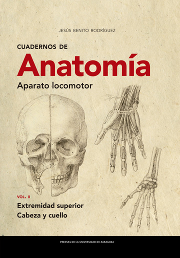 Cuadernos de Anatoma. Aparato locomotor