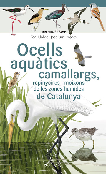 Ocells aqutics camallargs, rapinyaires i moixons de les zones humides de catalunya
