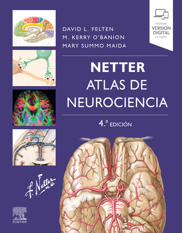 Netter. Atlas de neurociencia (4 ed.)
