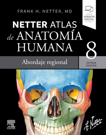 Netter. Atlas de anatoma humana. Abordaje regional