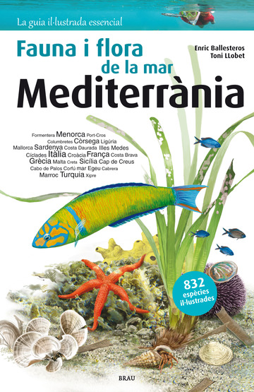 Flora i fauna de la mar Mediterrnia