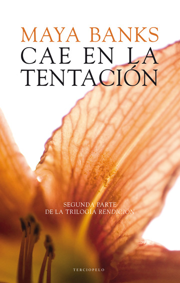 Cae en la tentacin 