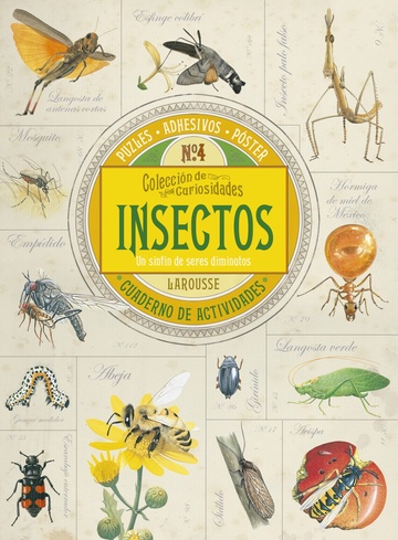 Coleccin de curiosidades. Insectos