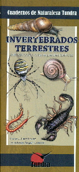 Invertebrados terrestres