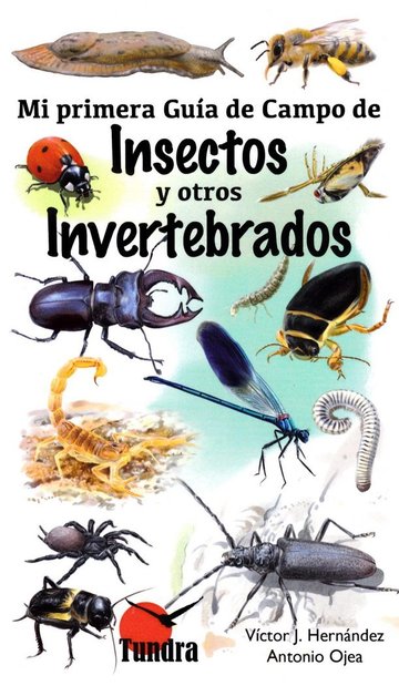 Mi primera gua de campo de insectos y otros invertebrados