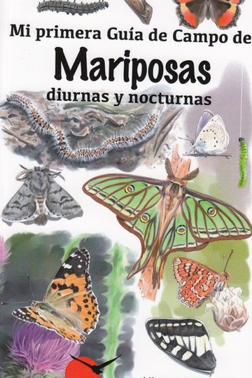Mi Primera Guia Campo Mariposas Diurnas Y Nocturnas
