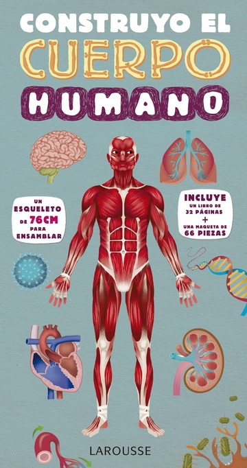 Construyo el cuerpo humano 