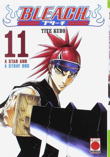 Bleach 11