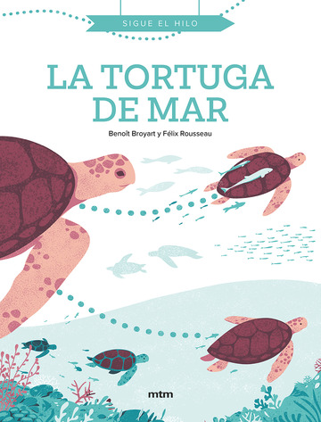 La Tortuga De Mar