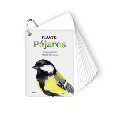 Fjate: pjaros