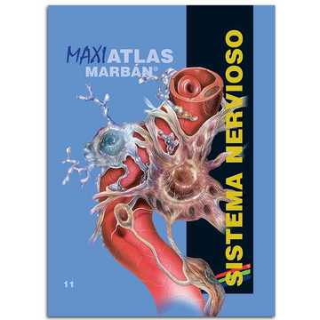 Maxi Atlas Sistema Nervioso T.11