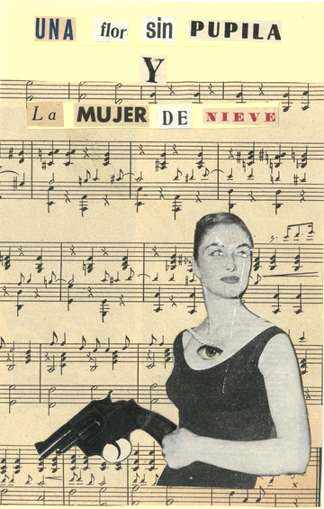 Una Flor Sin Pupila Y La Mujer De Nieve