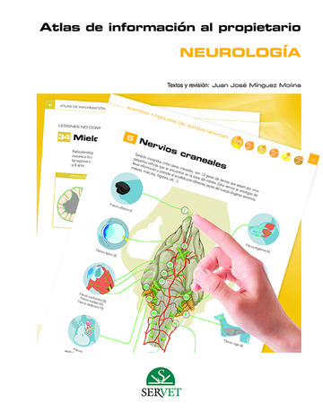 Atlas de informacin al propietario. Neurologa