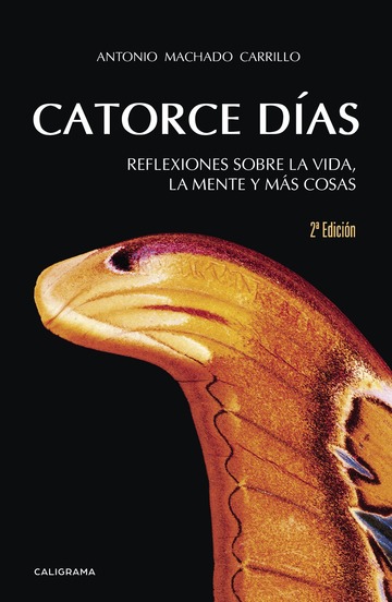 Catorce das