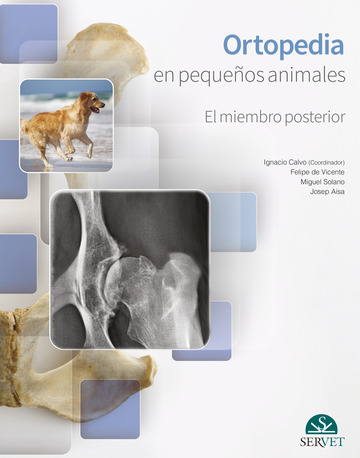 Ortopedia en pequeos animales. El miembro posterior