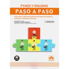 Pymes y Holding. Gua sobre la aplicacin prctica de la figura de holding a pequeas y medianas empresas