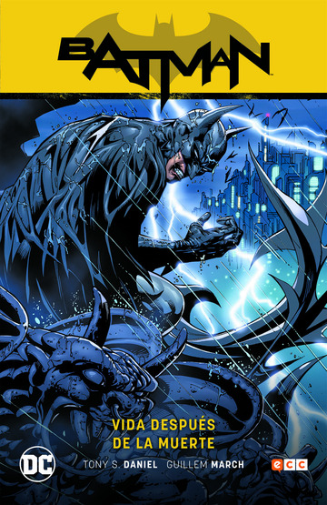 Batman vol. 10: Vida despus de la muerte (Batman Saga - Renacido parte 4)