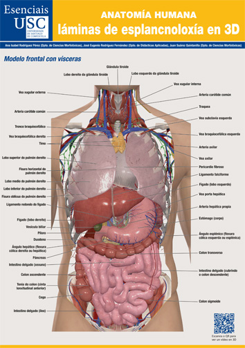 Anatomia humana baxter international round lake il