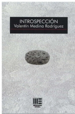 Introspeccion