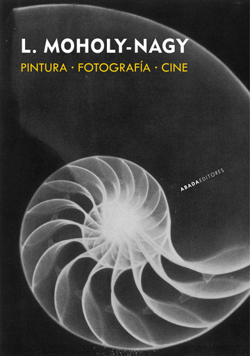 Pintura  Fotografa  Cine