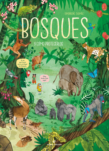 Bosques... y cmo protegerlos