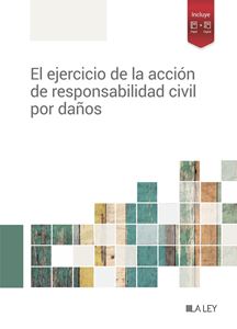 El ejercicio de la accin de responsabilidad civil por daos