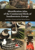 Identification Atlas Of The Continental Birds Of Southwestern Europe
