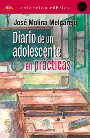 Diario de un adolescente en prcticas