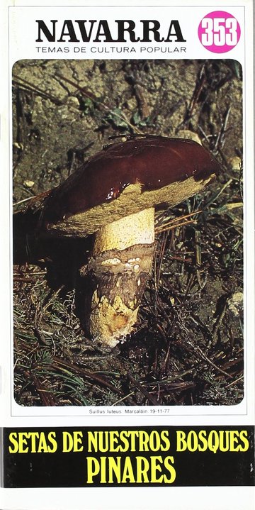 Setas de nuestros bosques, pinares
