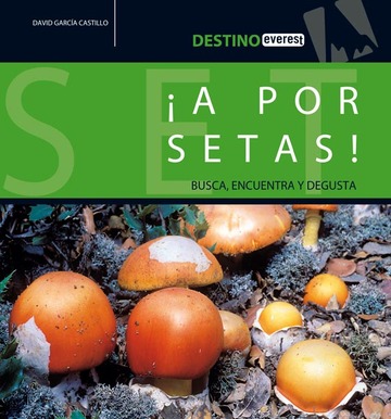 A por setas!