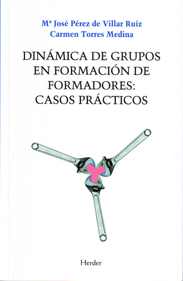 Dinmica de grupos en formacin de formadores : casos prcticos