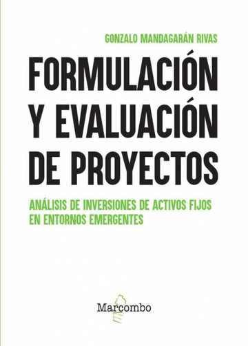 Formulacin y evaluacin de proyectos