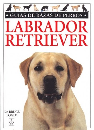 Labrador Retriever.guias Razas De Perros
