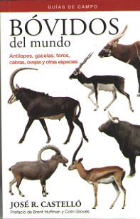 Bvidos Del Mundo