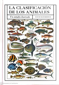 La Clasificacion De Los Animales