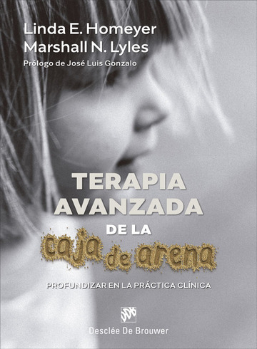 Terapia avanzada de la caja de arena. Profundizar en la prctica clnica